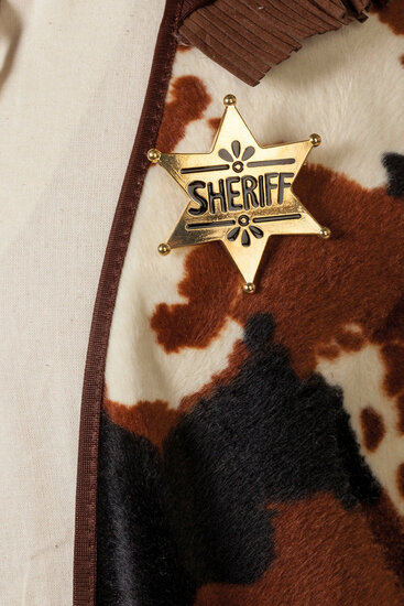 Sheriff Badge Ster - Goud