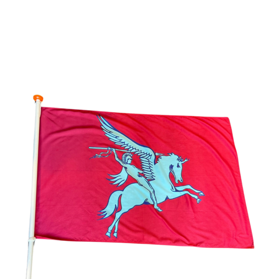 Airborne vlag