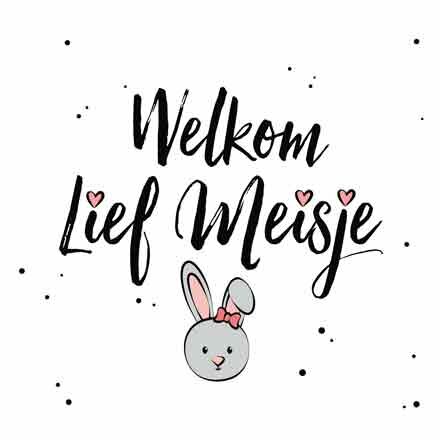 Wenskaart Geboorte - Welkom Lief Meisje - Met Envelop