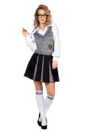 Schoolgirl kostuum ruitjes dames