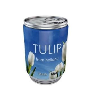 Tulpenbol In Blik Wit