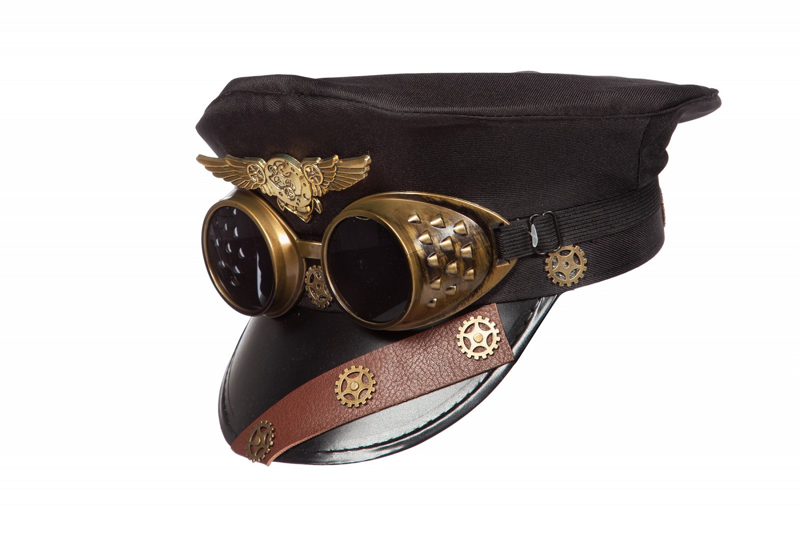 Pet Steampunk met Bril